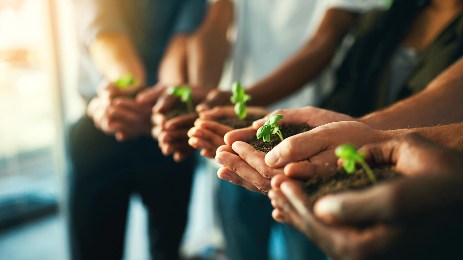 Trehan Iris community development and corporate social responsibility initiatives