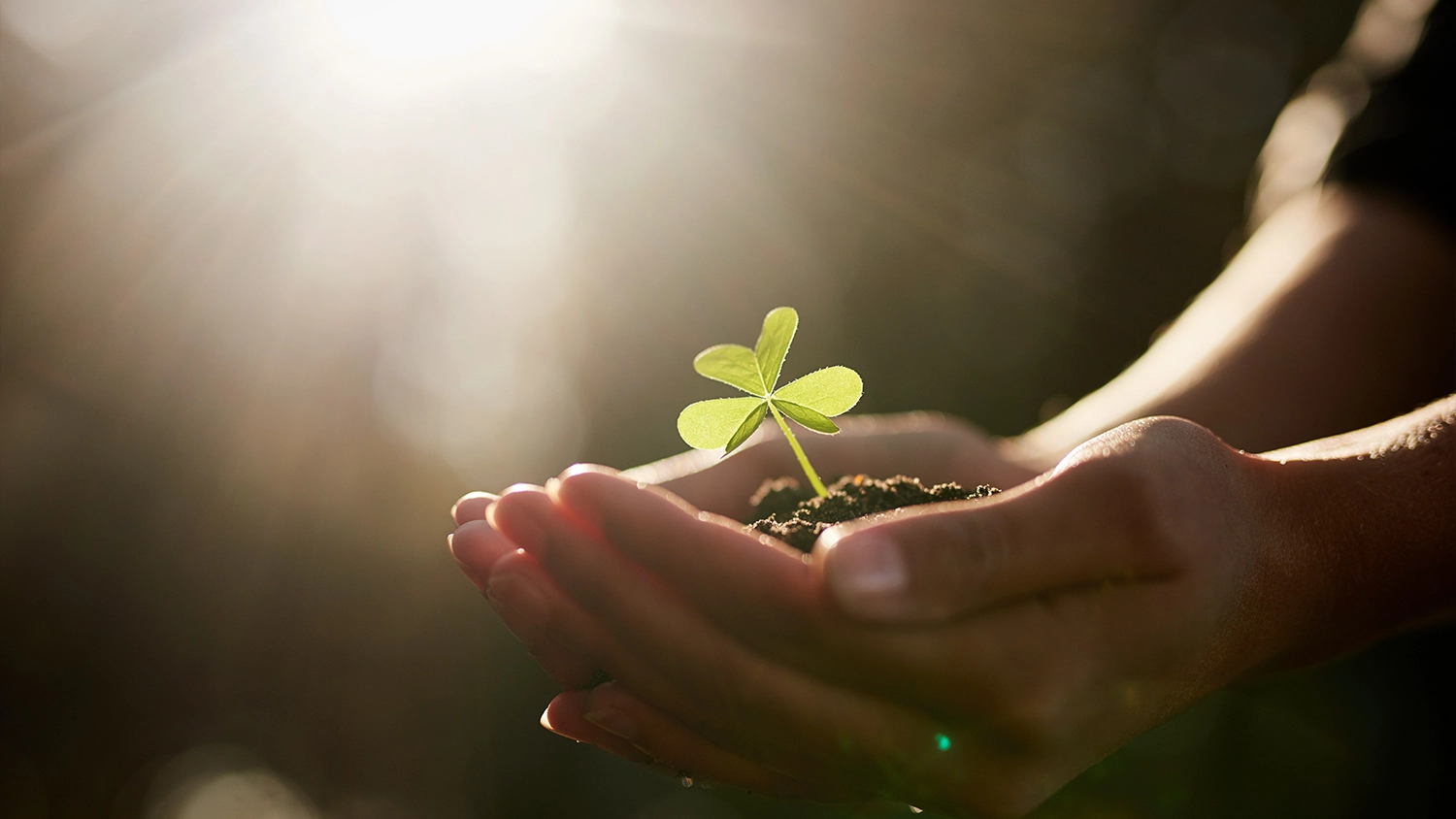 Environmental development: “Trehan IRIS environmental sustainability”